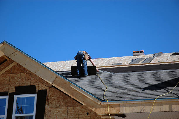 Best Roof Gutter Cleaning  in Underwood Petersville, AL