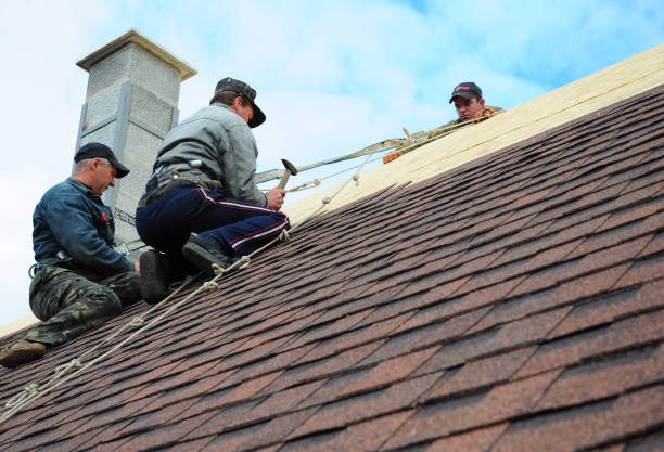 Best Roof Waterproofing Services  in Underwood Petersville, AL