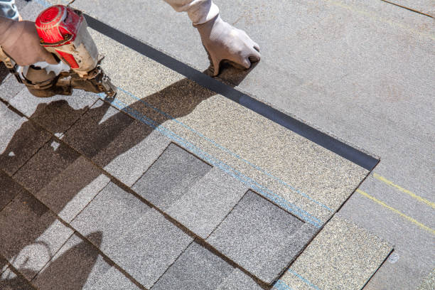 Best Storm Damage Roof Repair  in Underwood Petersville, AL